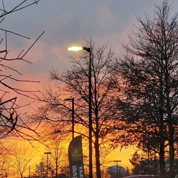 Blue - Picture 4 of 5